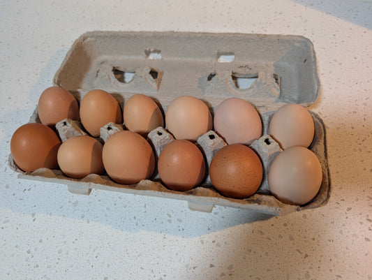 Chicken Eggs