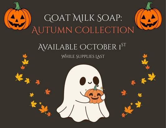 Autumn is Quickly Approaching