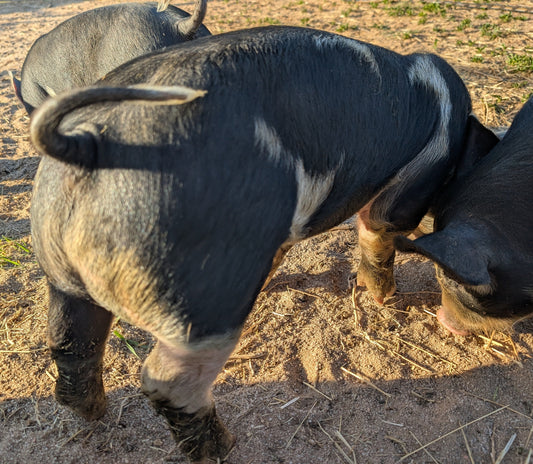Pork, Chicken, Oh My!