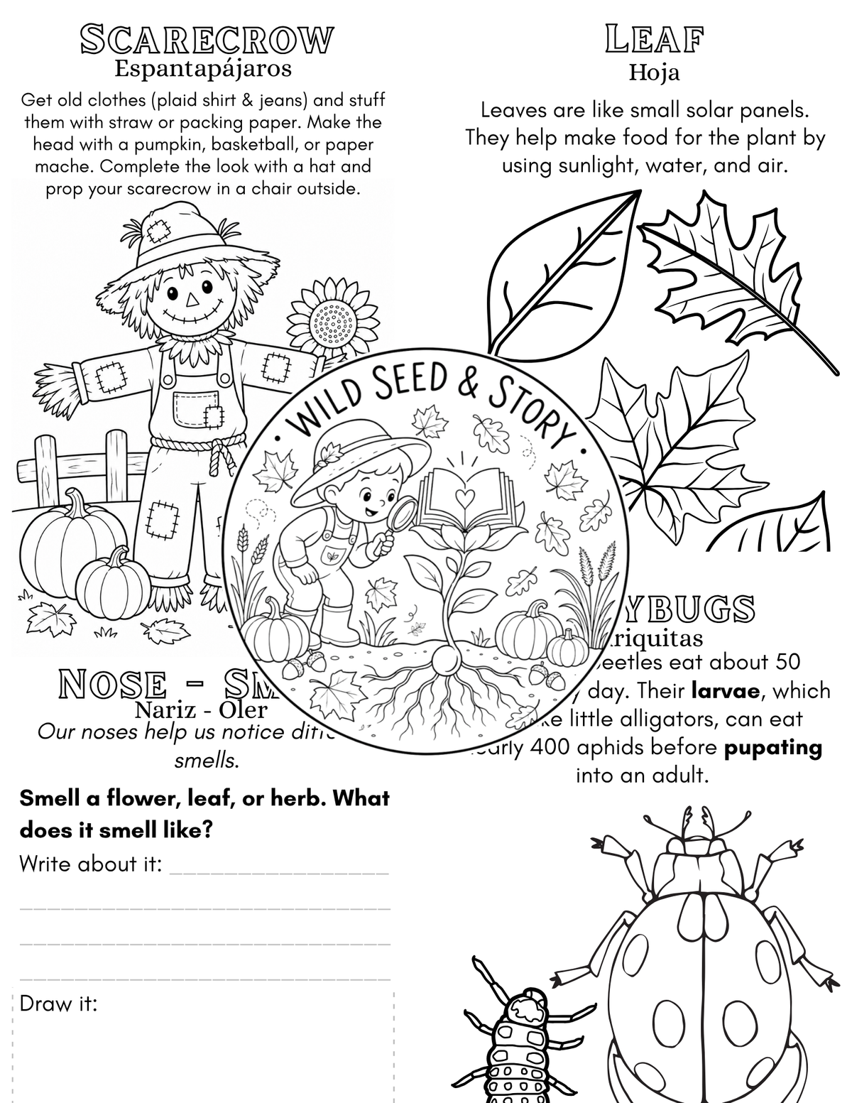 Little Explorers - Autumn 1